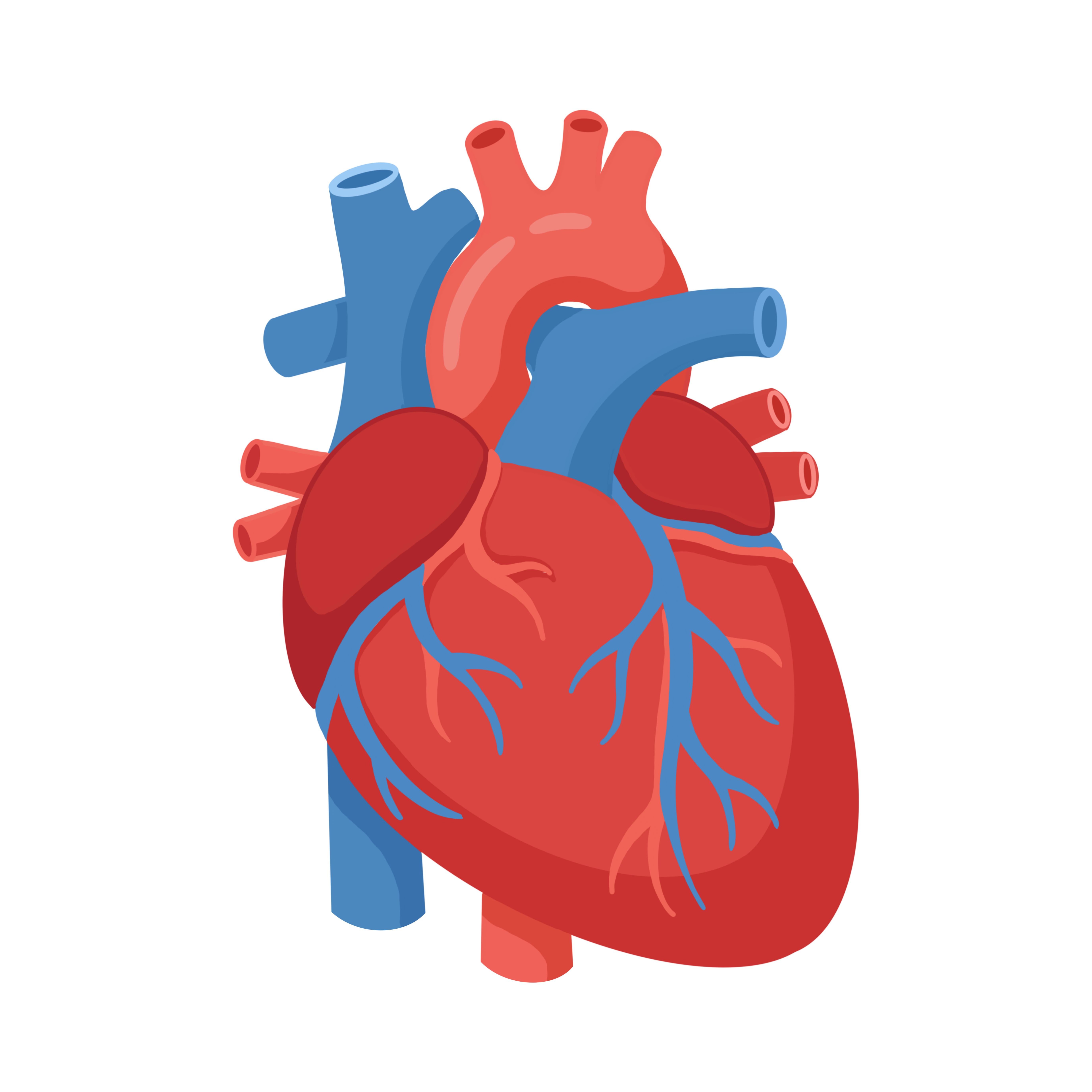 Cardiology