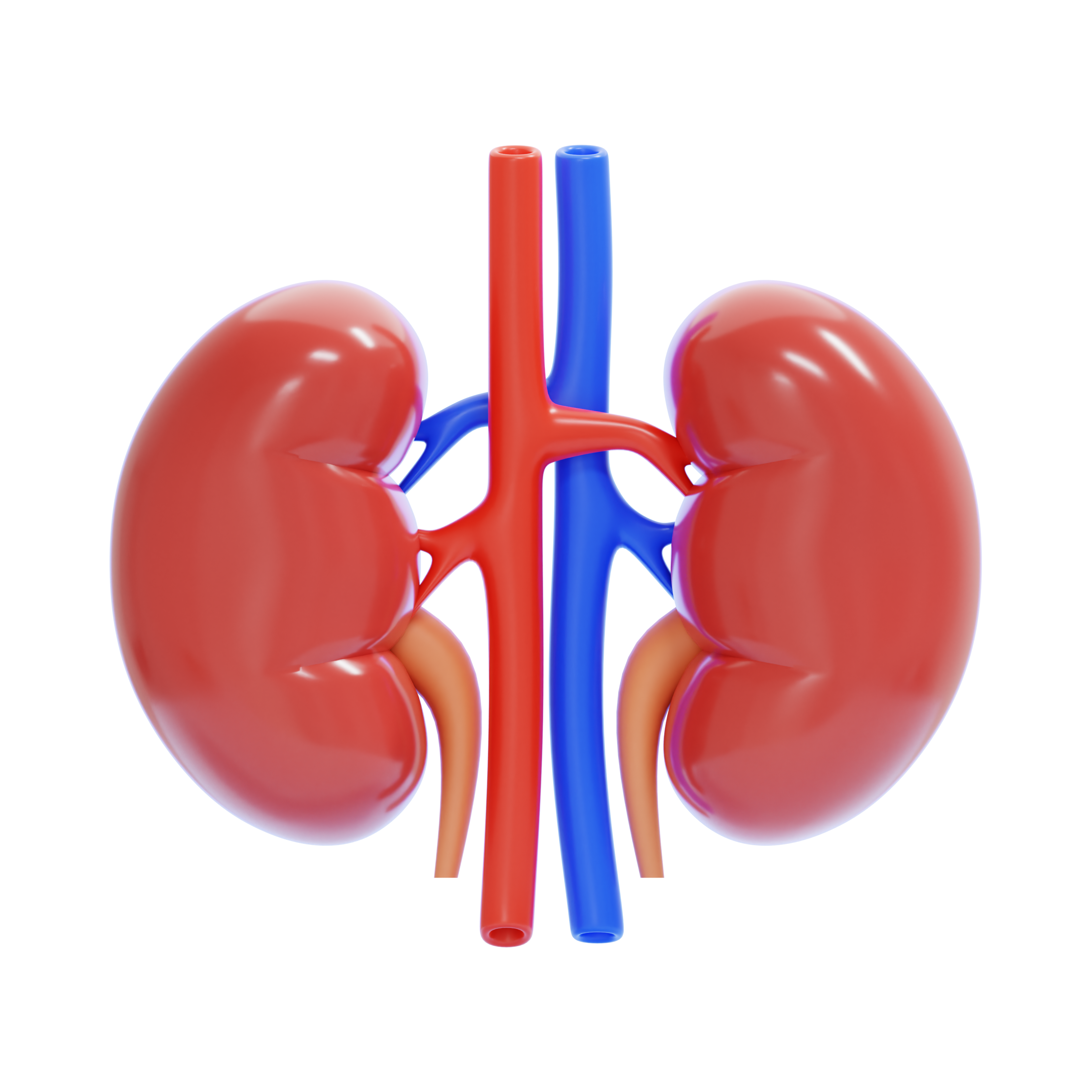 Nephrology