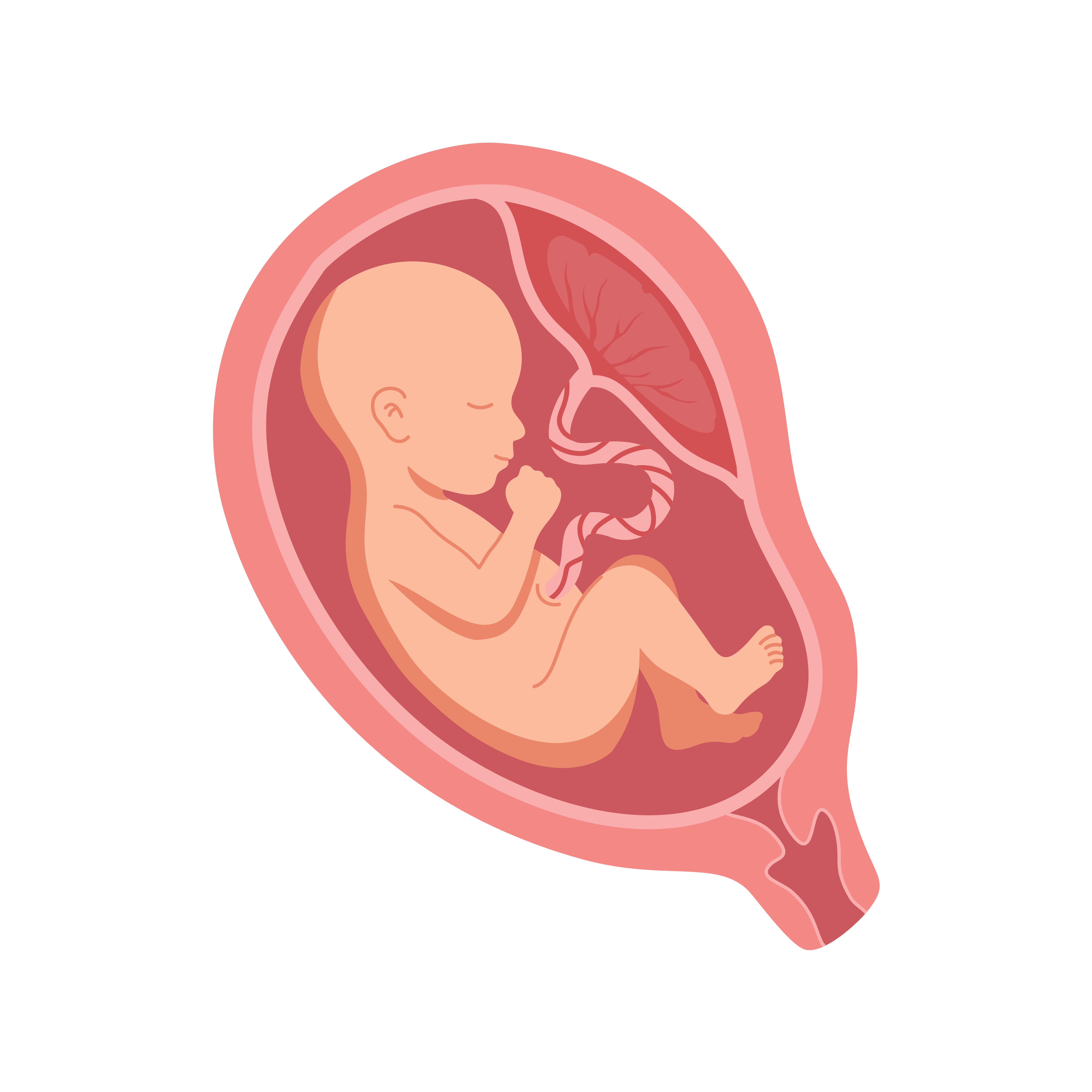 Obstetrics and Gynaecology