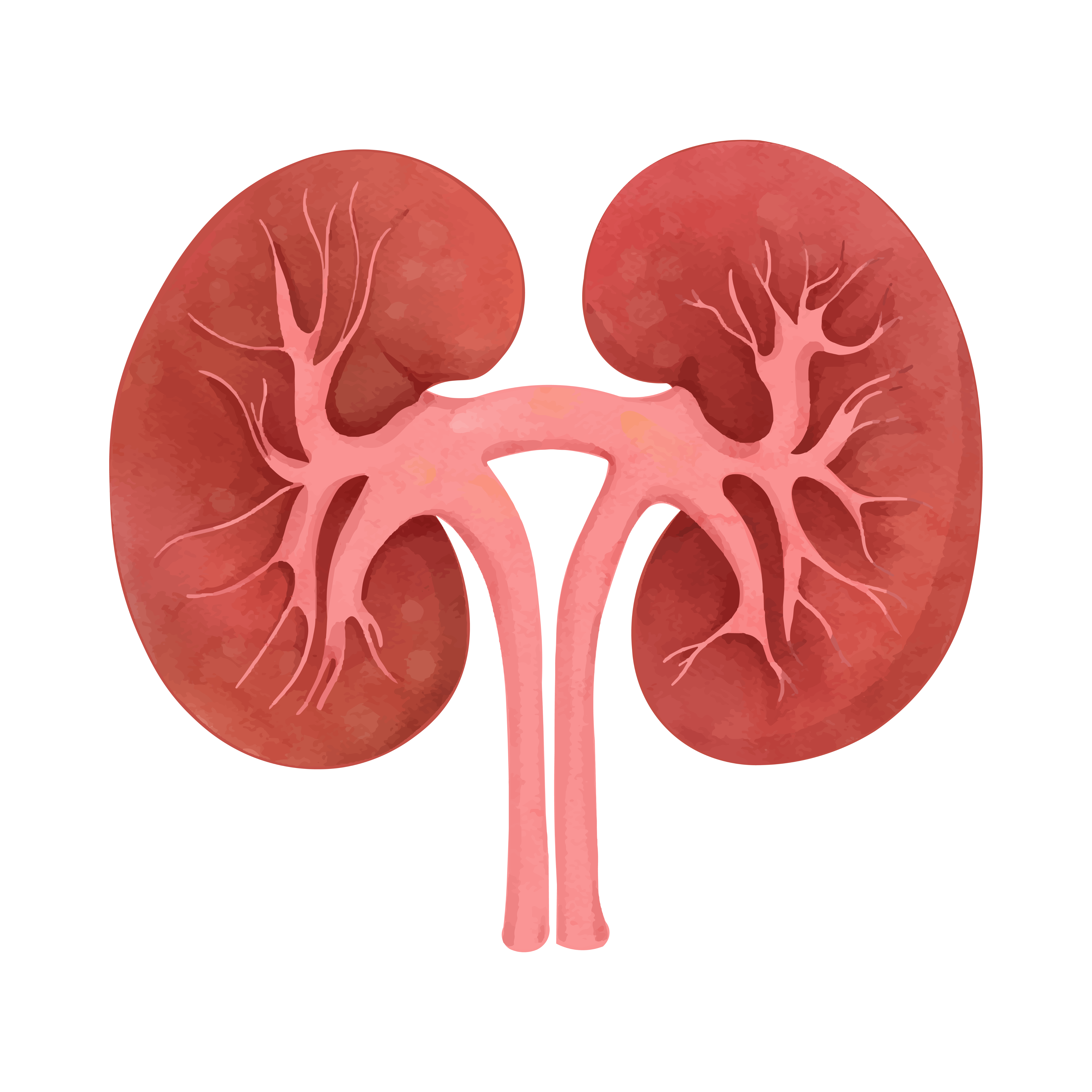 Urology
